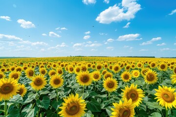 Sunflower Symphony: Endless Field under Azure Sky, AI Generative
