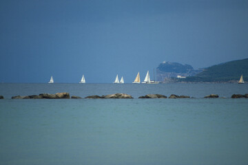 regatta in the harbor of Alghero, in the background Capo Caccia. Sardinia, Italy