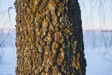 From an evening walk by Lake Mjosa in late winter.