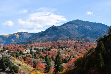 Northern Utah - Fall 