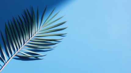 Fototapeta premium Palm tree with tropical leaves on a blue background with a place to copy text, an even layer of green tropical leaves. The concept of recreation, tourism, and sea travel.
