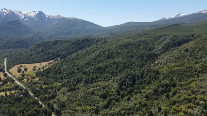 Fototapeta premium bosque