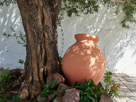 Clay pot next to tree and white wall