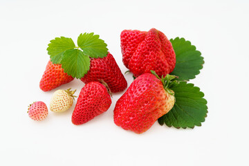 Fresh strawberries on monochrome background