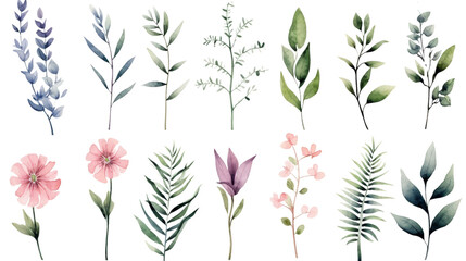 Fototapeta na wymiar Watercolor Exotic Plants Isolated on Transparent Background, (PNG).