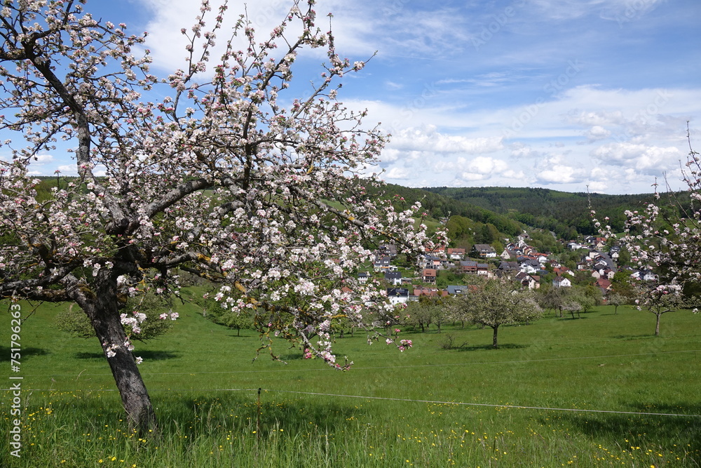 Canvas Prints hessenthal im spessart