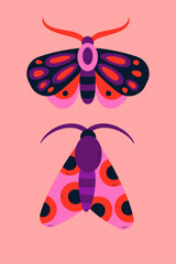 Illustration with moths