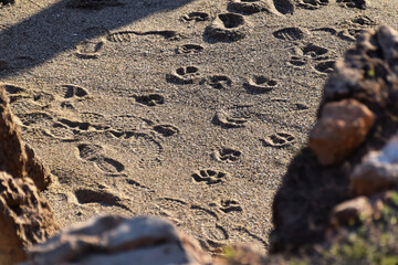 paysage bord de mer Séte