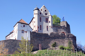 Naklejka premium Burg Alzenau