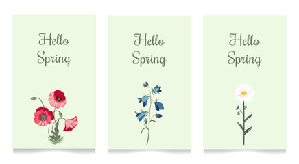 Wildflowers. Postcards with flowers. Chamomile, poppy, bell