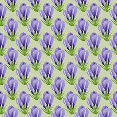 Watercolor spring crocuses seamless pattern, spring flower digital paper on green background. Hand painted floral illustration. For textile design, packaging, wrapping paper, wallpaper, scrapbooking.