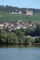 Fototapeta na wymiar Rhein mit Ruedesheim