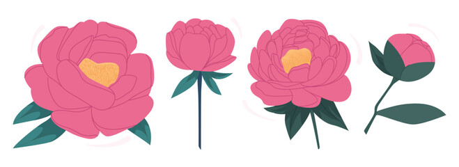 Set vector illustration of spring flowers peonies on a white background isolate. Pink buds, blossom. Wedding decoration, invitation, card, greetings, anniversary, thank you save the date.