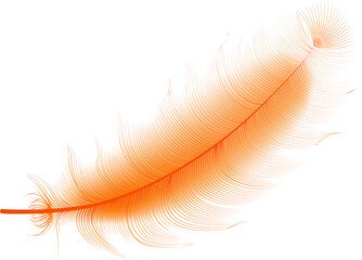 Flying realistic vector  goose or swan orange feathers.Ecological feather filler for pillows, blankets or jackets.Vector concept design.  © gala