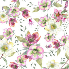 Hellebore spring seamless pattern. Hand painted floral illustration.
