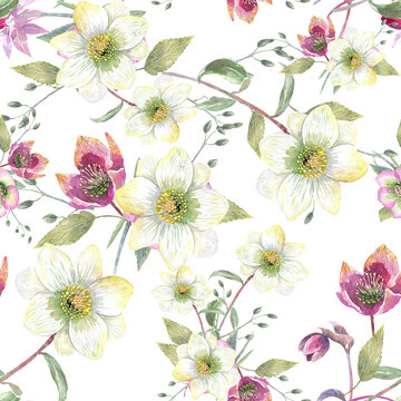 Hellebore spring seamless pattern. Hand painted floral illustration.