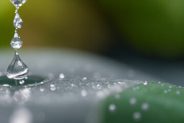 Macro shot of a falling raindrop, copy space