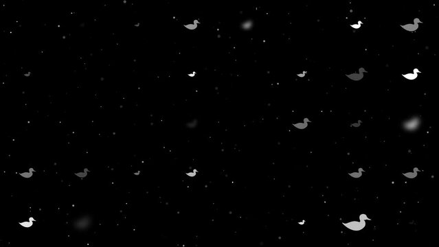 Template animation of evenly spaced duck symbols of different sizes and opacity. Animation of transparency and size. Seamless looped 4k animation on black background with stars