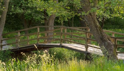 Wyrafinowany „delikatny” mały drewniany mostek nad strumieniem wśród gęstych malowniczych drzew w pełni wiosny.Piękny park (las) w piękny wiosenny dzień wśród gęstej zielonej trawy i innych  roślin.