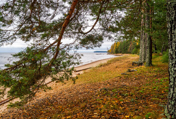 On the shore of Lake Onega in Russia in late autumn.