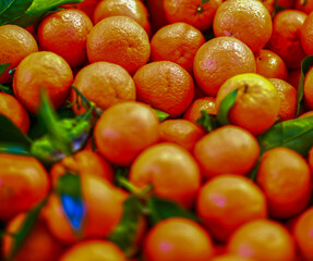 Mandarine (Citrus reticulata) am Marktstand