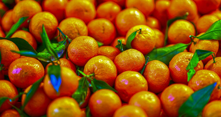 Mandarine (Citrus reticulata) am Marktstand - obrazy, fototapety, plakaty