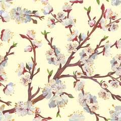 Sakura branches in a Seamless Asian oriental realistic pattern drawn