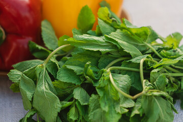 Ingredients for Fresh summer drink lemon and mint. Making fresh Cold lemonade on a nature outdoor summer background. Mojito summer refreshing cocktail with ice and mint.