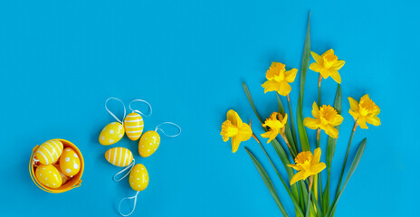 Bouquet of beautiful yellow daffodils with Easter eggs on blue paper background. Creative greeting card.