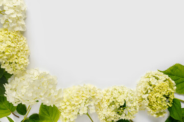 Beautiful bouquet of hydrangeas on white background. Greeting card for the holiday. Creative background with copy space for text.