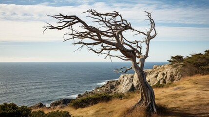 green tree nature background