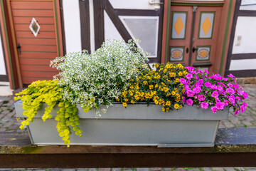 A variety of decorative flowers in a pot outdoors