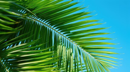 exotic tropical leaves background