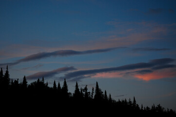 Sunset Over Balsam Fir Trees In The Adirondack Mountains Of New York State