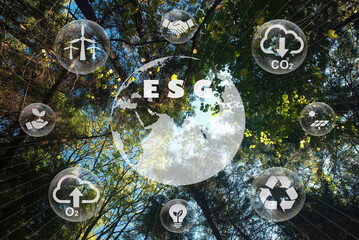 zrównoważony rozwój (esg) jako wspólna odpowiedzialność i konieczność przeprowadzenia zmian.