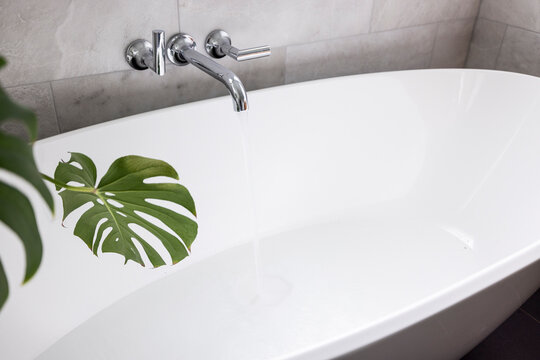 Detail of a beautiful spa-like bathtub with green plants