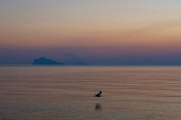 Fototapeta na wymiar Alba al mare con gabbiano in volo e isole Eolie sullo sfondo. Potrebbe essere un tramonto?