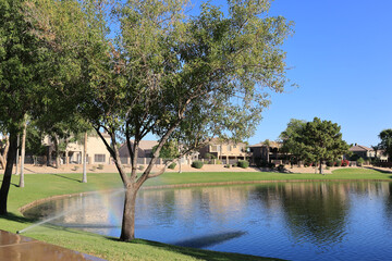 Green Grassy South Lake Shore in Dos Lagos Park, Glendale, AZ