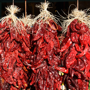 Chile Ristras of red chile peppers hanging in bunches in bright sun. Ristras, often used for decoration, are said to bring good health and good luck.