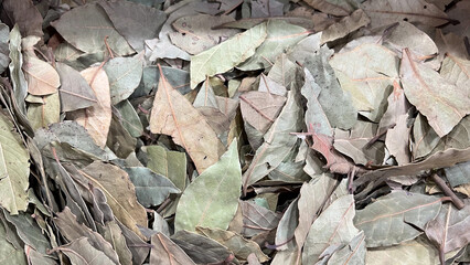 Dried bay tree leaves in bulk at spice market stall