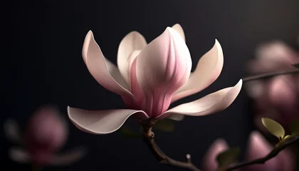 Zelfklevend Fotobehang tender pink magnolia flower isolated © Deanne