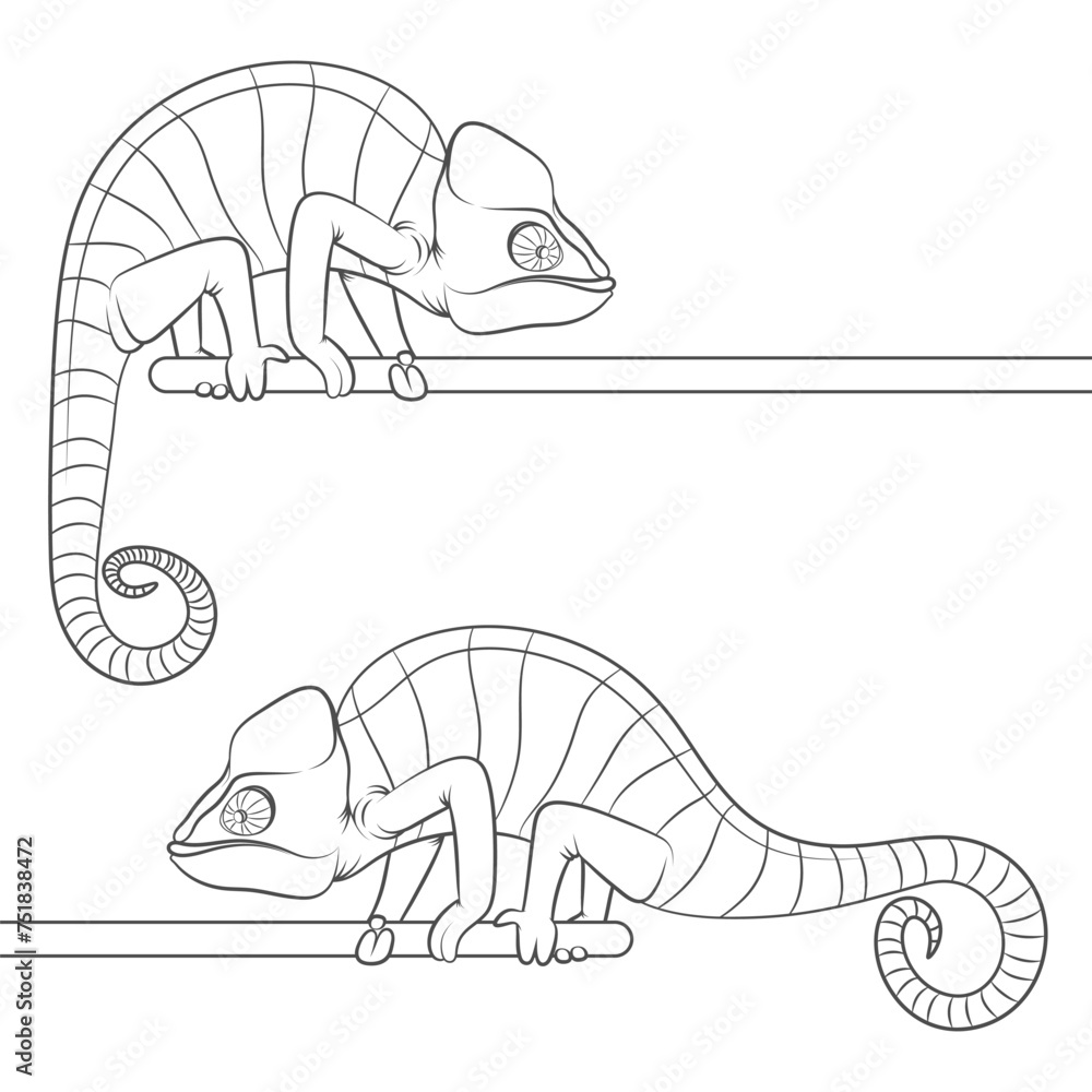Poster set of black and white illustrations with a chameleon. isolated vector object on white background.