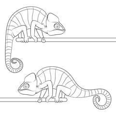 Set of black and white illustrations with a chameleon. Isolated vector object on white background. - 751838472