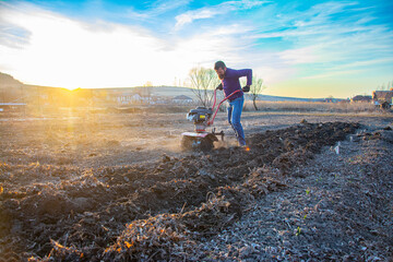 Farmer weeding the field with a tiller. Man loosens the soil cultivator. - obrazy, fototapety, plakaty