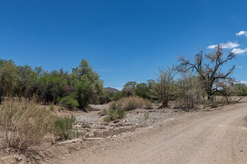 The dry riverbed of the Ugab River, Damaraland, Namibia