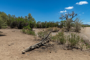 The dry riverbed of the Ugab River, Damaraland, Namibia