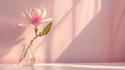 Rolgordijnen Beautiful pink magnolia flower in transparent glass vase standing on white table, sunlight on pastel pink wall © Ziyan