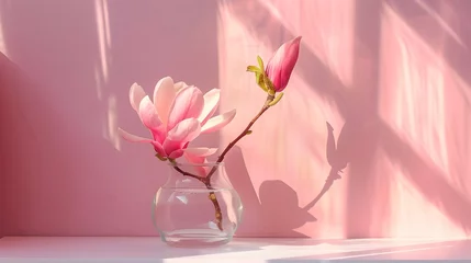 Poster Beautiful pink magnolia flower in transparent glass vase standing on white table, sunlight on pastel pink wall © Ziyan