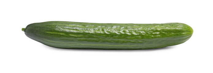 One long fresh cucumber isolated on white