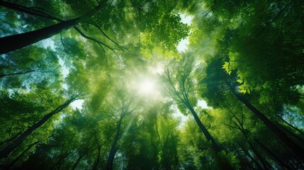 Fototapeta premium floral design nature background